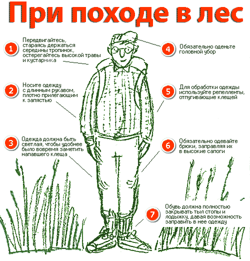 При походе в лес.gif При походе в лес.gif